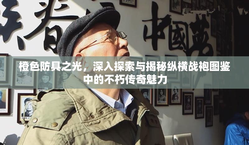 橙色防具之光，深入探索与揭秘纵横战袍图鉴中的不朽传奇魅力