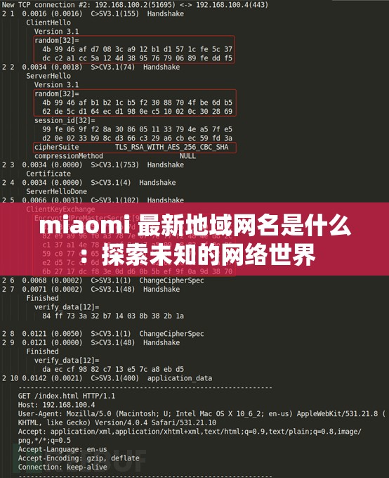 miaomi 最新地域网名是什么：探索未知的网络世界