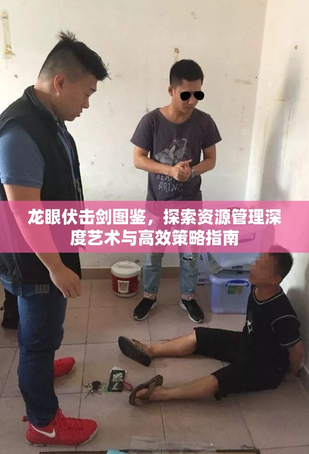 龙眼伏击剑图鉴，探索资源管理深度艺术与高效策略指南