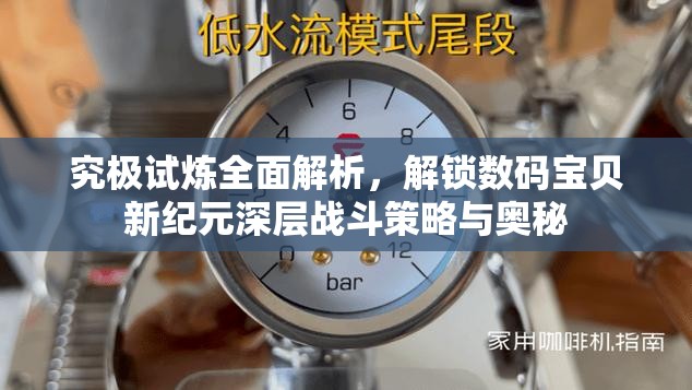 究极试炼全面解析，解锁数码宝贝新纪元深层战斗策略与奥秘