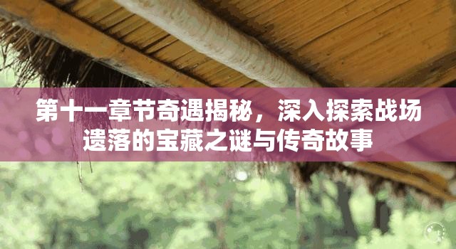 第十一章节奇遇揭秘，深入探索战场遗落的宝藏之谜与传奇故事