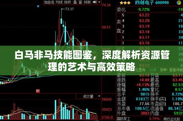 白马非马技能图鉴，深度解析资源管理的艺术与高效策略