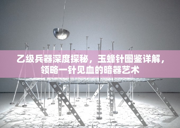 乙级兵器深度探秘，玉蜂针图鉴详解，领略一针见血的暗器艺术
