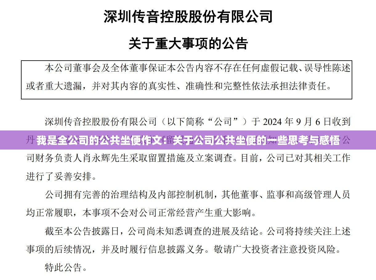 我是全公司的公共坐便作文：关于公司公共坐便的一些思考与感悟