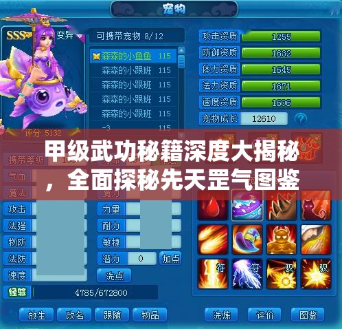 甲级武功秘籍深度大揭秘，全面探秘先天罡气图鉴的奥秘与精髓