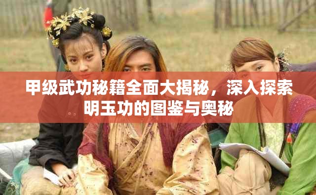 甲级武功秘籍全面大揭秘，深入探索明玉功的图鉴与奥秘