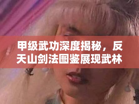 甲级武功深度揭秘，反天山剑法图鉴展现武林绝学的璀璨之光与奥秘