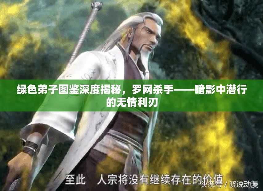 绿色弟子图鉴深度揭秘，罗网杀手——暗影中潜行的无情利刃