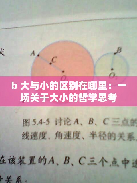 b 大与小的区别在哪里：一场关于大小的哲学思考