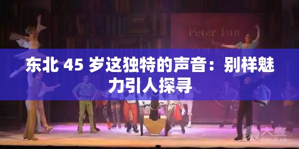 东北 45 岁这独特的声音：别样魅力引人探寻