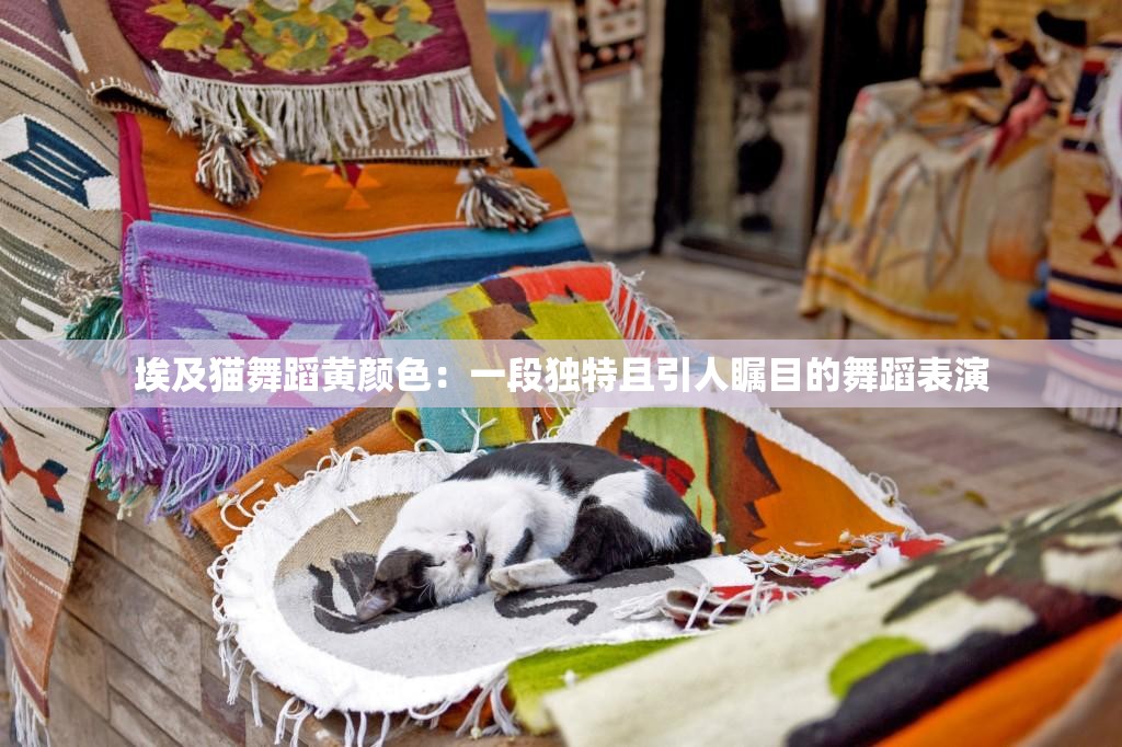 埃及猫舞蹈黄颜色：一段独特且引人瞩目的舞蹈表演