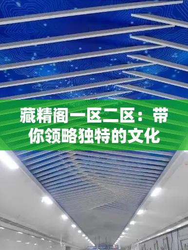 藏精阁一区二区：带你领略独特的文化与艺术世界