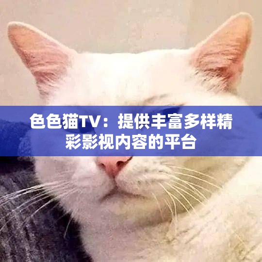 色色猫TV：提供丰富多样精彩影视内容的平台