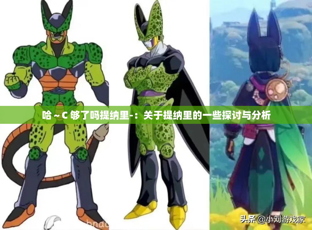 哈～C 够了吗提纳里-：关于提纳里的一些探讨与分析