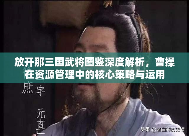 放开那三国武将图鉴深度解析，曹操在资源管理中的核心策略与运用