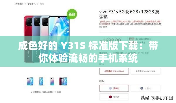 成色好的 Y31S 标准版下载：带你体验流畅的手机系统