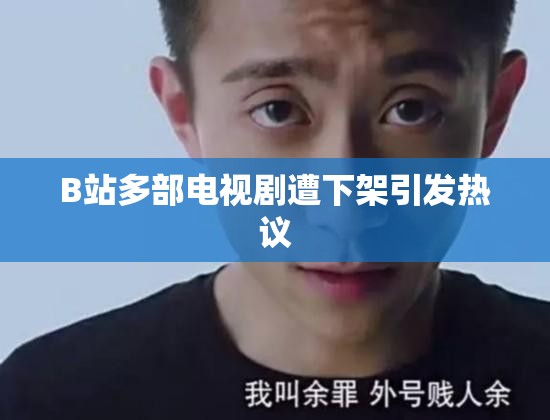 B站多部电视剧遭下架引发热议