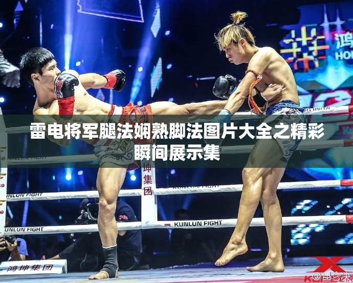 雷电将军腿法娴熟脚法图片大全之精彩瞬间展示集