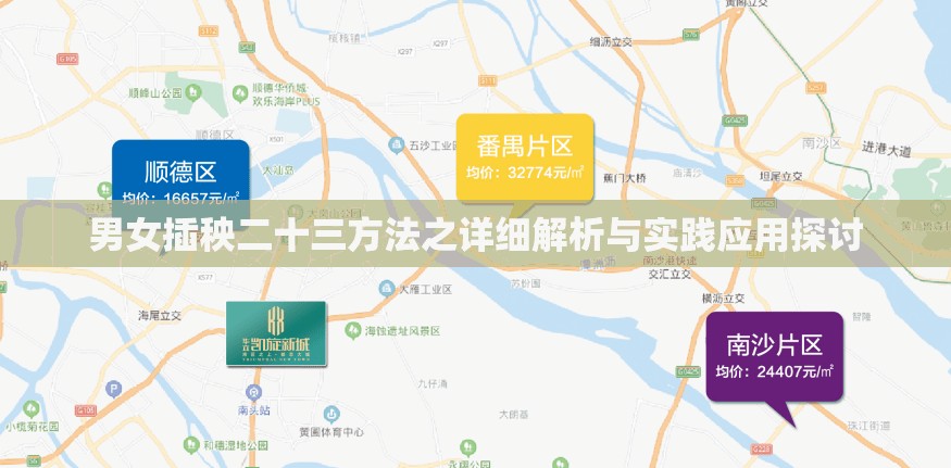 男女插秧二十三方法之详细解析与实践应用探讨