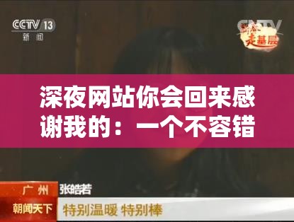 深夜网站你会回来感谢我的：一个不容错过的神奇存在
