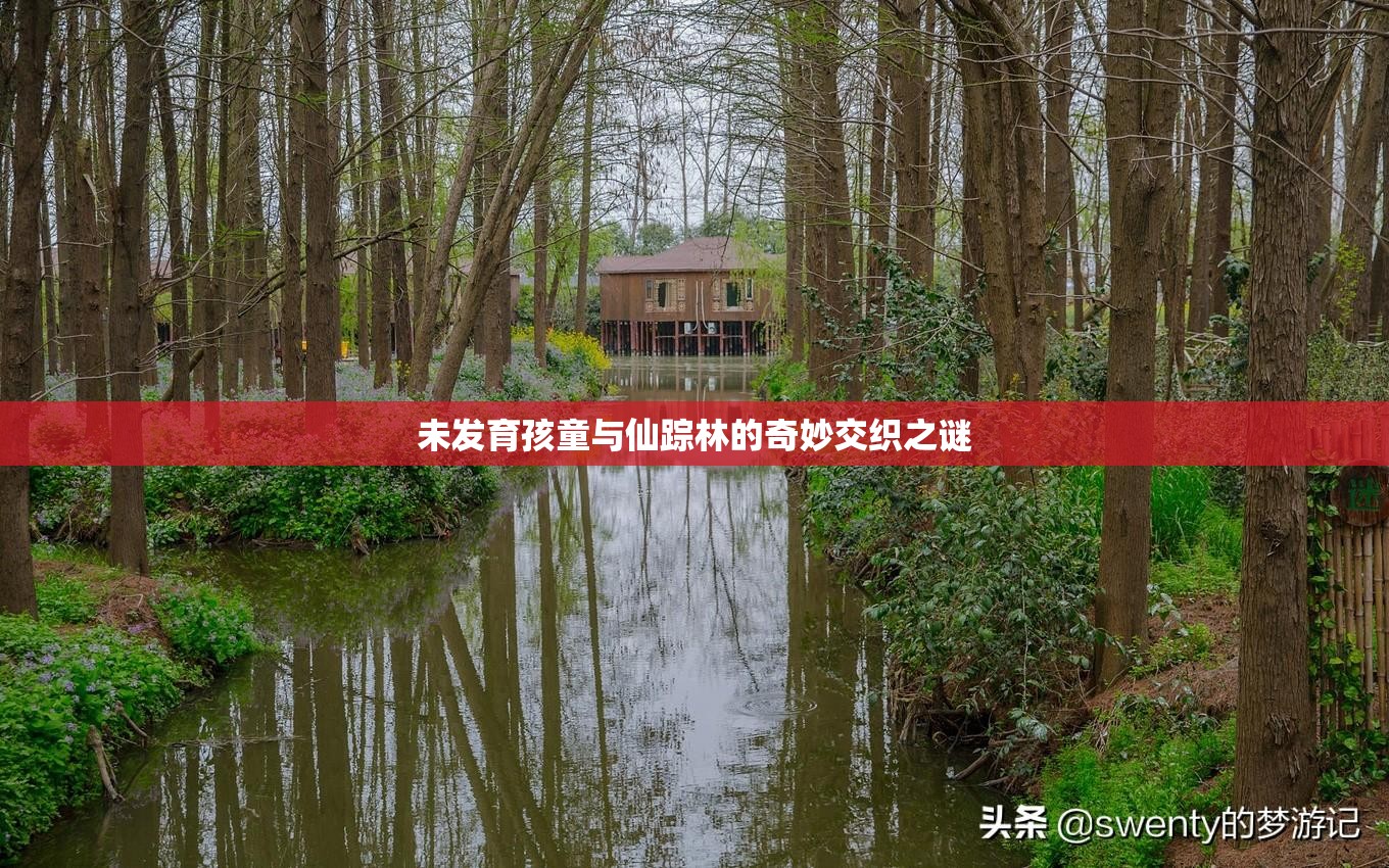 未发育孩童与仙踪林的奇妙交织之谜