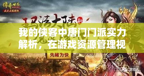 我的侠客中唐门门派实力解析，在游戏资源管理视角下的深度剖析与评价