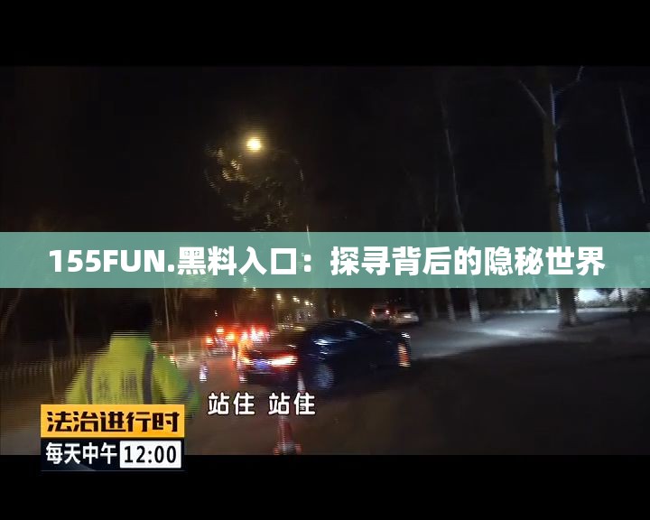 155FUN.黑料入口：探寻背后的隐秘世界