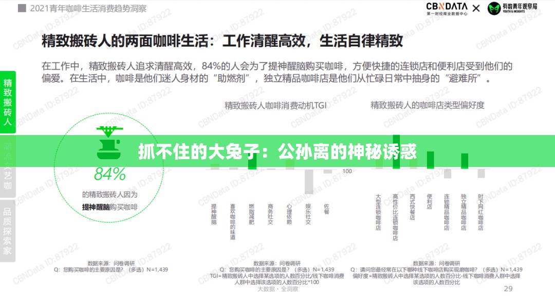抓不住的大兔子：公孙离的神秘诱惑