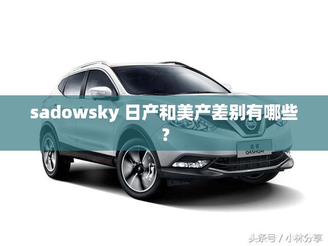 sadowsky 日产和美产差别有哪些？