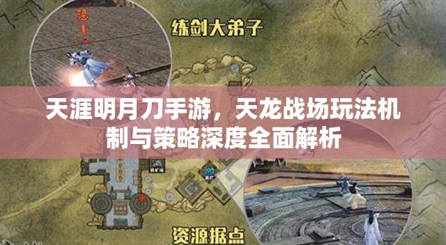 天涯明月刀手游，天龙战场玩法机制与策略深度全面解析