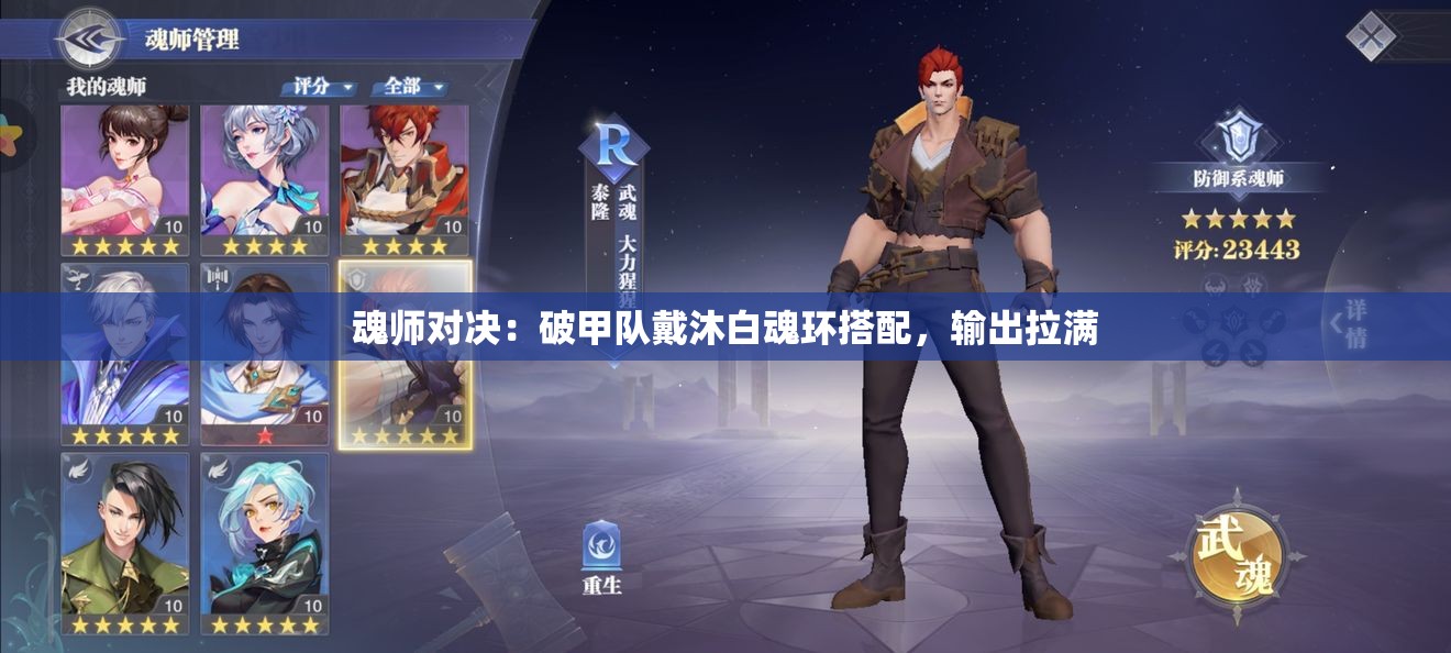 魂师对决：破甲队戴沐白魂环搭配，输出拉满