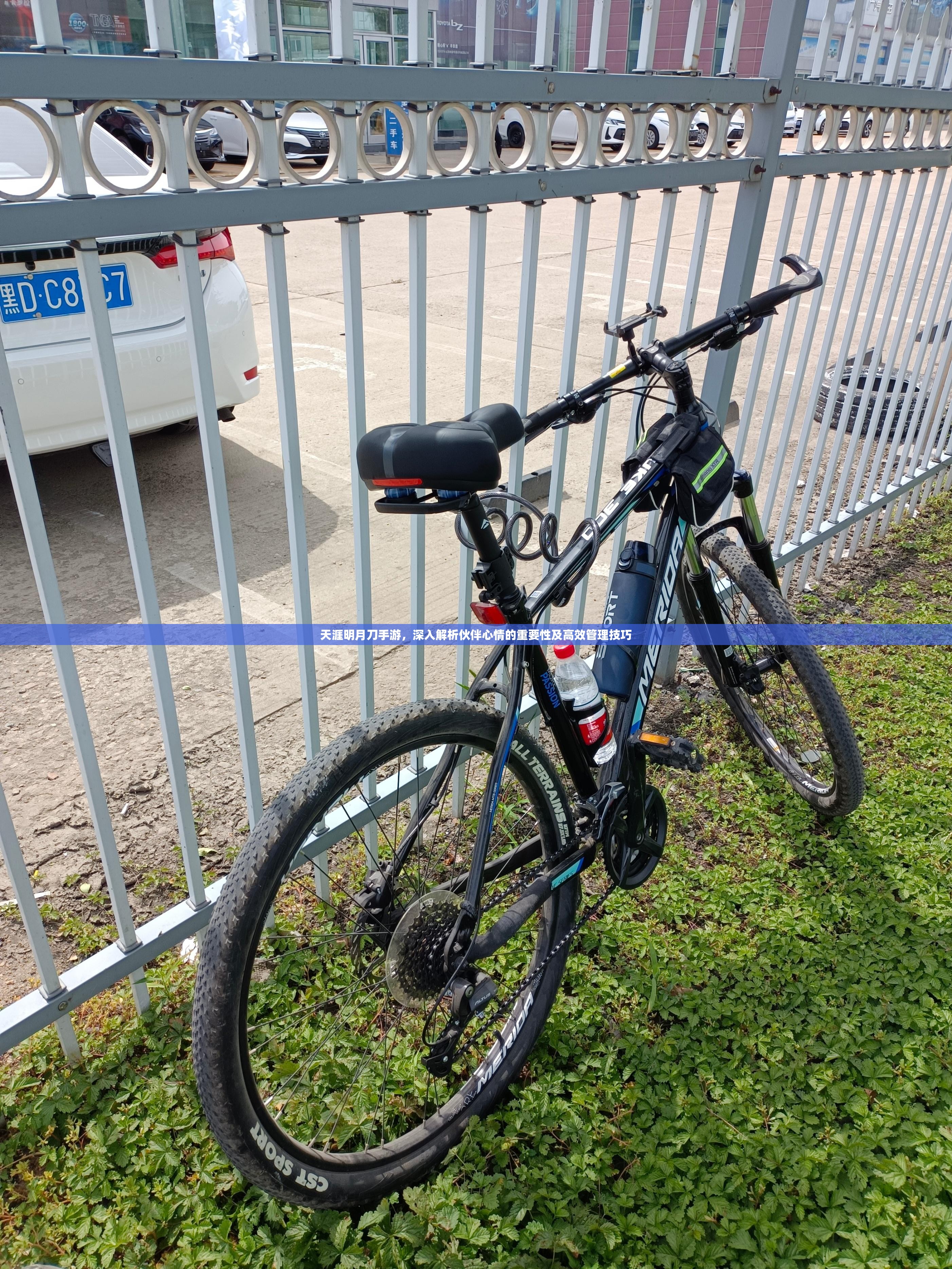 天涯明月刀手游，深入解析伙伴心情的重要性及高效管理技巧