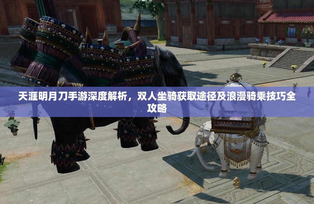 天涯明月刀手游深度解析，双人坐骑获取途径及浪漫骑乘技巧全攻略