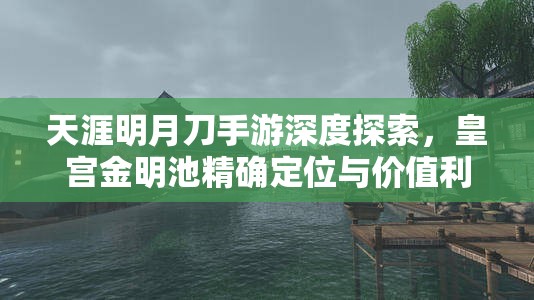 天涯明月刀手游深度探索，皇宫金明池精确定位与价值利用最大化攻略