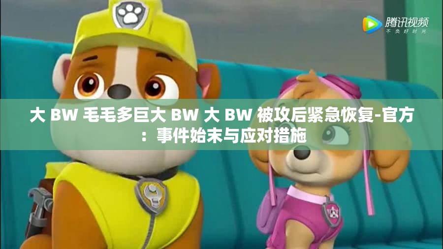 大 BW 毛毛多巨大 BW 大 BW 被攻后紧急恢复-官方：事件始末与应对措施
