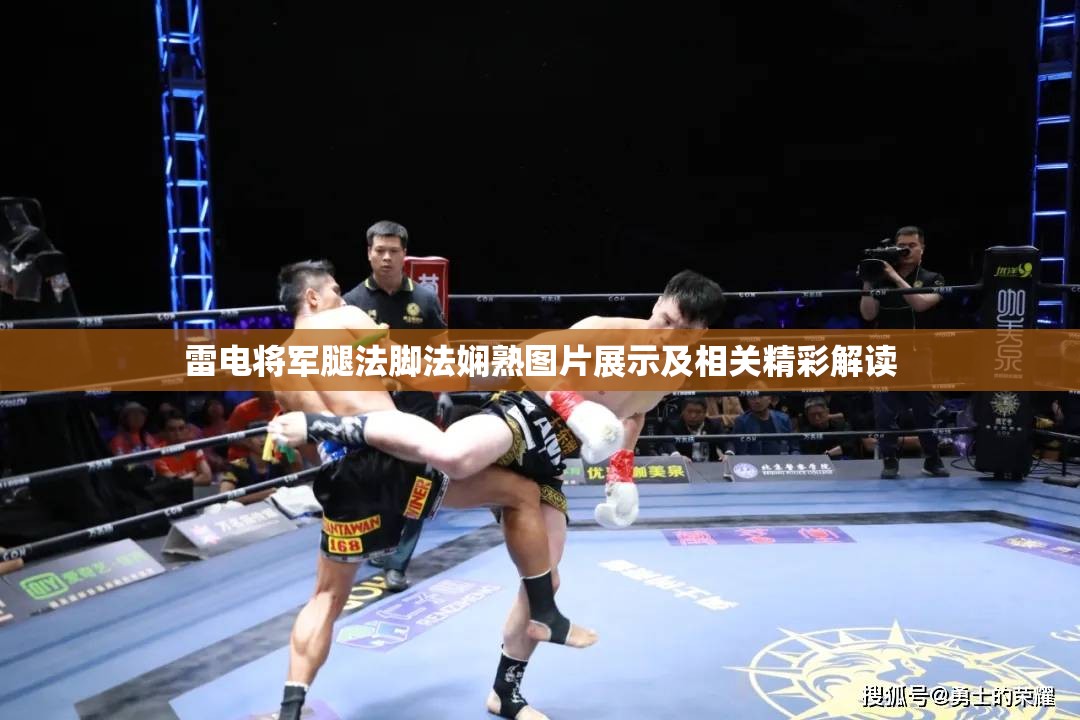 雷电将军腿法脚法娴熟图片展示及相关精彩解读