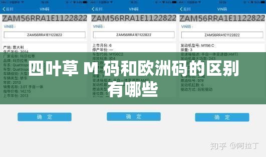 四叶草 M 码和欧洲码的区别有哪些
