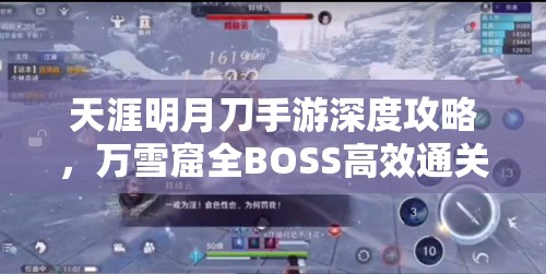 天涯明月刀手游深度攻略，万雪窟全BOSS高效通关技巧与秘籍