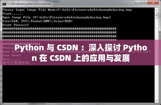 Python 与 CSDN ：深入探讨 Python 在 CSDN 上的应用与发展