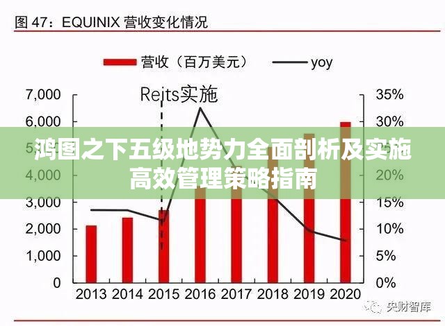 鸿图之下五级地势力全面剖析及实施高效管理策略指南