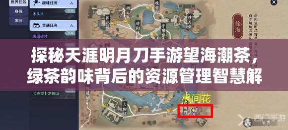 探秘天涯明月刀手游望海潮茶，绿茶韵味背后的资源管理智慧解析