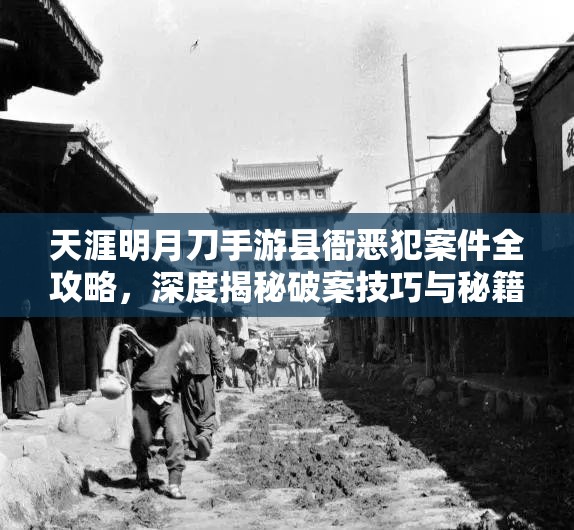 天涯明月刀手游县衙恶犯案件全攻略，深度揭秘破案技巧与秘籍