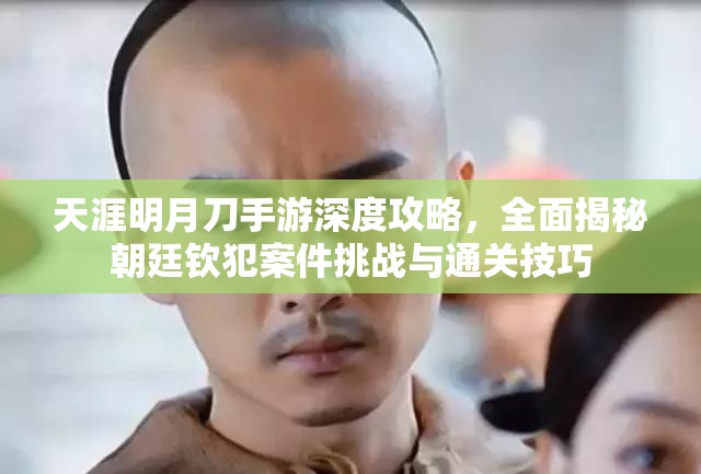 天涯明月刀手游深度攻略，全面揭秘朝廷钦犯案件挑战与通关技巧