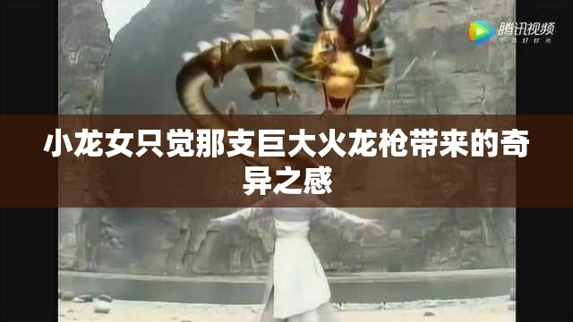小龙女只觉那支巨大火龙枪带来的奇异之感