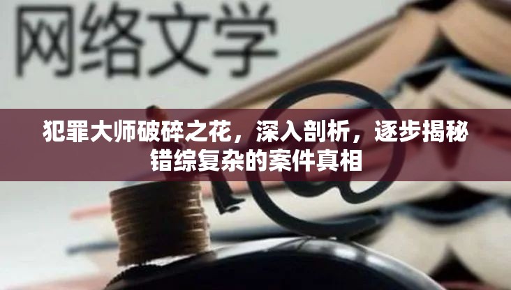 犯罪大师破碎之花，深入剖析，逐步揭秘错综复杂的案件真相