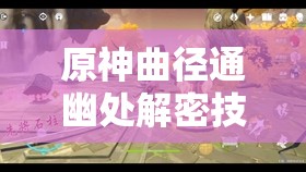 原神曲径通幽处解密技巧与攻略，全面解析助你轻松破解