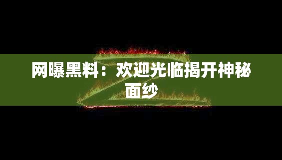 网曝黑料：欢迎光临揭开神秘面纱