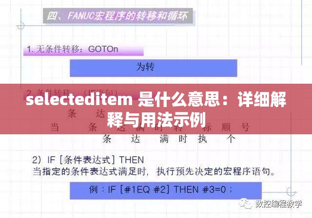 selecteditem 是什么意思：详细解释与用法示例