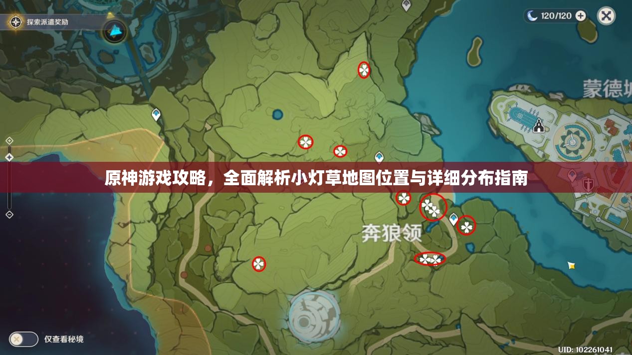 原神游戏攻略，全面解析小灯草地图位置与详细分布指南