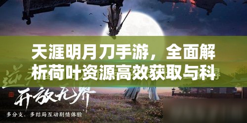 天涯明月刀手游，全面解析荷叶资源高效获取与科学管理指南